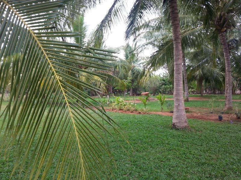 Serenity Lake Resort Yala Tissamaharama Extérieur photo