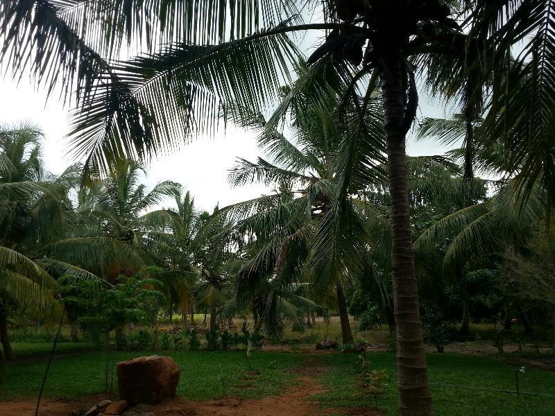 Serenity Lake Resort Yala Tissamaharama Extérieur photo