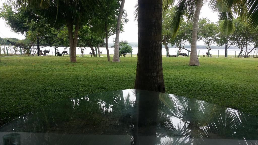 Serenity Lake Resort Yala Tissamaharama Extérieur photo