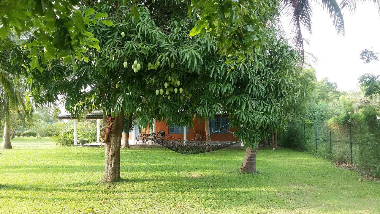 Serenity Lake Resort Yala Tissamaharama Extérieur photo